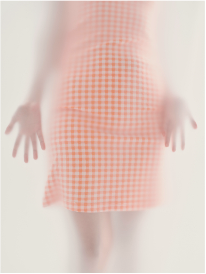 fig.024